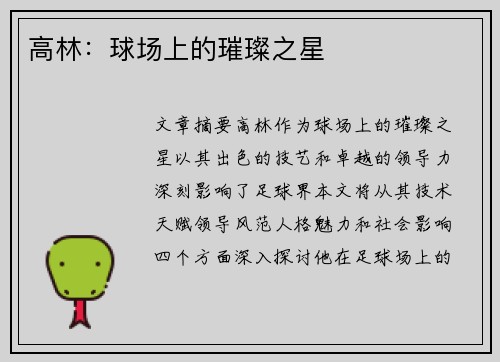 高林：球场上的璀璨之星